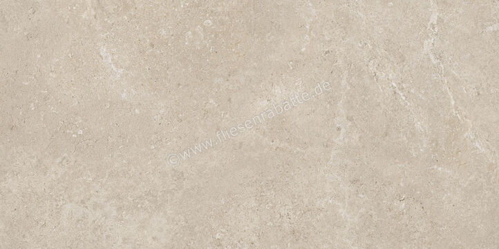  Century Rocknest Richmond 60x120 cm Bodenfliese / Wandfliese Matt Strukturiert Molata 0141636 | 589153