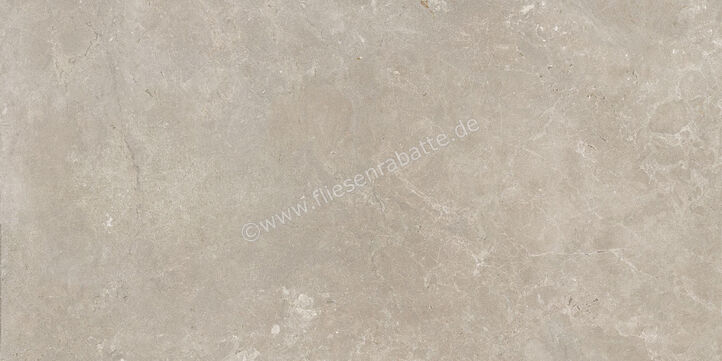  Century Rocknest Dreamance 60x120 cm Bodenfliese / Wandfliese Matt Strukturiert Molata 0141659 | 589306