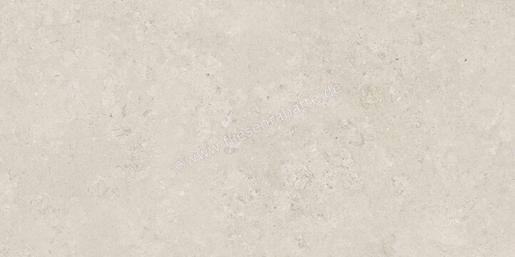  Century Rocknest Ethereal 60x120 cm Bodenfliese / Wandfliese Matt Strukturiert Molata 0141663 | 589372