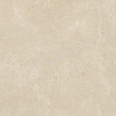  Century Rocknest Maplerock 80x80 cm Bodenfliese / Wandfliese Matt Strukturiert Soft 0141696 | 589555