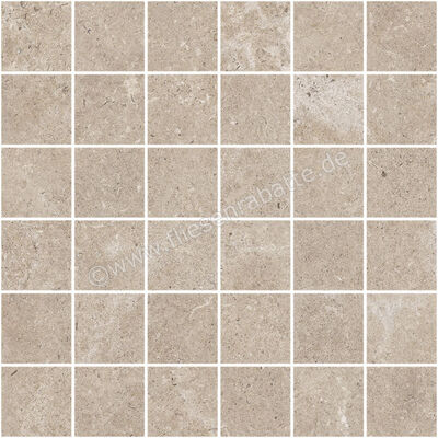  Century Rocknest Hilltop 30x30 cm Mosaik 4,7x4,7 Matt Strukturiert Naturale 0141792 | 589843