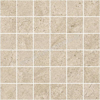  Century Rocknest Monolith 30x30 cm Mosaik 4,7x4,7 Matt Strukturiert Naturale 0141795 | 589852