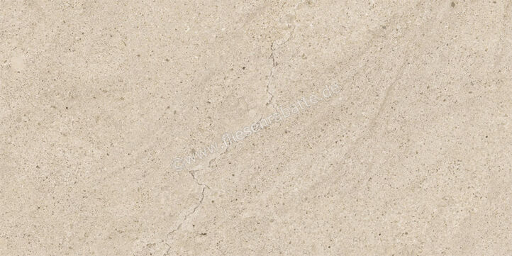  Century Rocknest Monolith 30x60 cm Bodenfliese / Wandfliese Matt Strukturiert Molata 0142704 | 589927