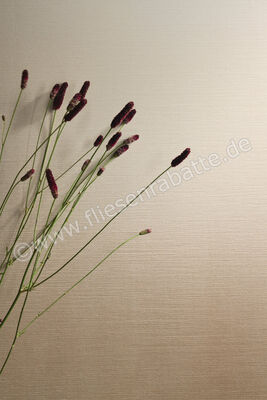  Marca Corona Iridea Degrade Cannella 50x120 cm Wandfliese Matt Eben Naturale J656 | 591340