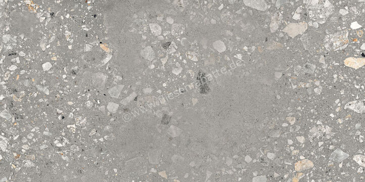  Sant Agostino Logico Cosmo Grey 60x120 cm Bodenfliese / Wandfliese Matt Eben Naturale CSACOSG612 | 600019