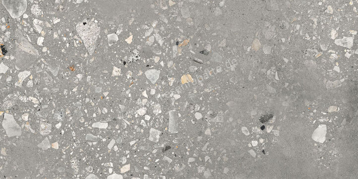  Sant Agostino Logico Cosmo Grey 60x120 cm Bodenfliese / Wandfliese Matt Eben Naturale CSACOSG612 | 600025