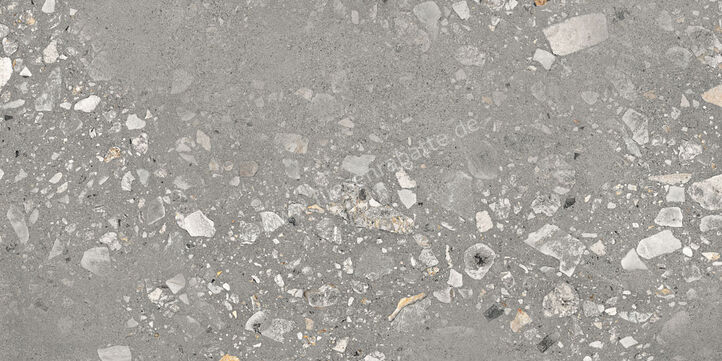  Sant Agostino Logico Cosmo Grey 60x120 cm Bodenfliese / Wandfliese Matt Eben Naturale CSACOSG612 | 600028