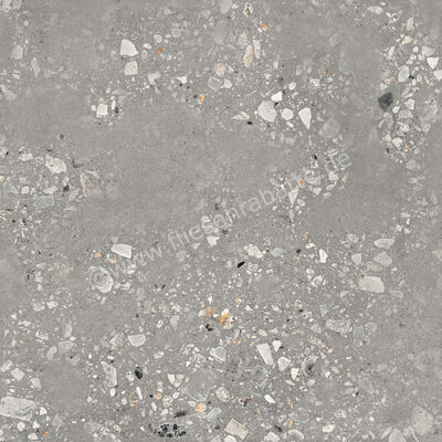  Sant Agostino Logico Cosmo Grey 120x120 cm Bodenfliese / Wandfliese Matt Eben Naturale CSACOSGY12 | 600094