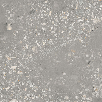  Sant Agostino Logico Cosmo Grey 120x120 cm Bodenfliese / Wandfliese Matt Eben Naturale CSACOSGY12 | 600109