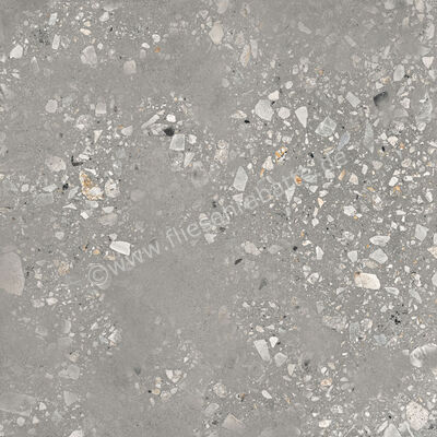  Sant Agostino Logico Cosmo Grey 120x120 cm Bodenfliese / Wandfliese Matt Eben Naturale CSACOSGY12 | 600115