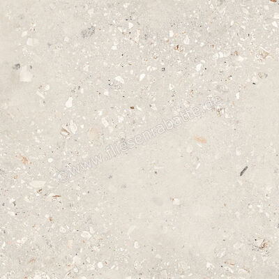  Sant Agostino Logico Cosmo Pearl 120x120 cm Bodenfliese / Wandfliese Matt Eben Naturale CSACOSPE12 | 600349