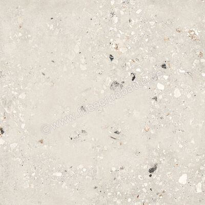  Sant Agostino Logico Cosmo Pearl 120x120 cm Bodenfliese / Wandfliese Matt Eben Naturale CSACOSPE12 | 600358