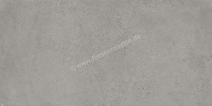  Sant Agostino Logico Grey 60x120 cm Bodenfliese / Wandfliese Matt Eben Naturale CSALGR6012 | 600694