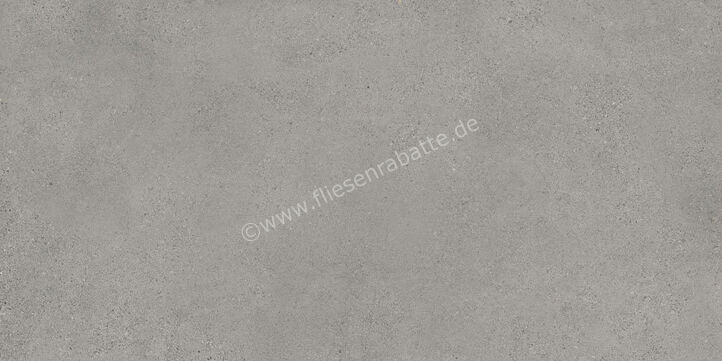  Sant Agostino Logico Grey 60x120 cm Bodenfliese / Wandfliese Matt Eben Naturale CSALGR6012 | 600715