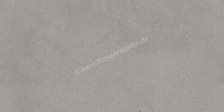  Sant Agostino Logico Grey 60x120 cm Bodenfliese / Wandfliese Matt Eben Naturale CSALGR6012 | 600718