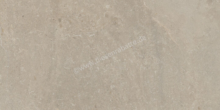  Monocibec Monogram Lithic 30x60 cm Bodenfliese / Wandfliese Matt Strukturiert Natural Evolution 145110 | 623857