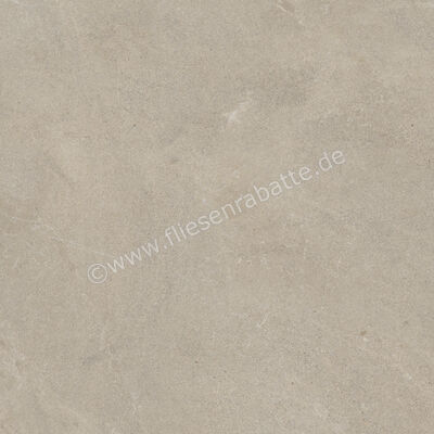  Monocibec Monogram Lithic 60x60 cm Bodenfliese / Wandfliese Matt Strukturiert Natural Evolution 145105 | 623941