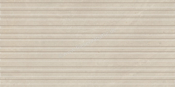  Monocibec Monogram Echos 60x120 cm Wandfliese Decori Seal Matt Strukturiert Natural Evolution 145301 | 624220