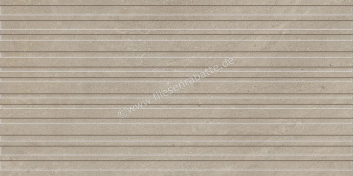  Monocibec Monogram Lithic 60x120 cm Wandfliese Decori Seal Matt Strukturiert Natural Evolution 145302 | 624235