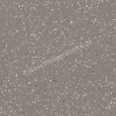  Sant Agostino Glow Grey 120x120 cm Bodenfliese / Wandfliese Matt Eben Silk CSAGLOGK12 | 630101