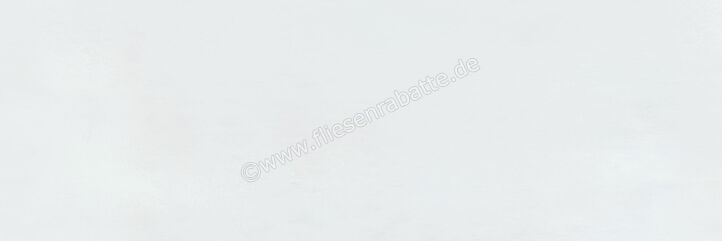 Steuler Paint Lasurgrau 40x120 cm Wandfliese Matt Eben Natural Y12990001 | 63394