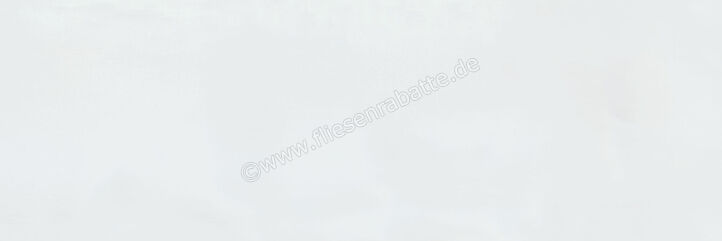 Steuler Paint Lasurgrau 40x120 cm Wandfliese Matt Eben Natural Y12990001 | 63397