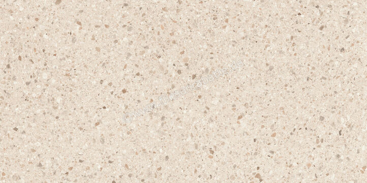  Sant Agostino Gravel Full Light 60x120 cm Bodenfliese / Wandfliese Matt Strukturiert Naturale CSAGDL6012 | 639715