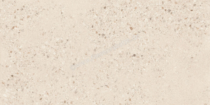  Sant Agostino Gravel Large Light 60x120 cm Bodenfliese / Wandfliese Matt Strukturiert Naturale CSAGLL6012 | 639811