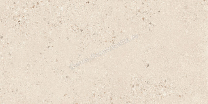  Sant Agostino Gravel Large Light 60x120 cm Bodenfliese / Wandfliese Matt Strukturiert Naturale CSAGLL6012 | 639814