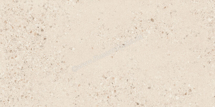  Sant Agostino Gravel Large Light 60x120 cm Bodenfliese / Wandfliese Matt Strukturiert Naturale CSAGLL6012 | 639817