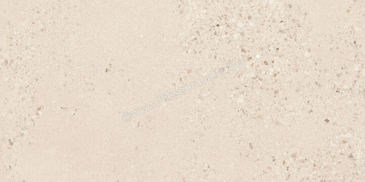  Sant Agostino Gravel Large Light 60x120 cm Bodenfliese / Wandfliese Matt Strukturiert Naturale CSAGLL6012 | 639826