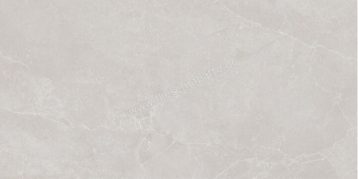  La Fabbrica Ava Noble Stone Grey 60x120 cm Bodenfliese / Wandfliese Matt Eben Naturale 199002 | 642463
