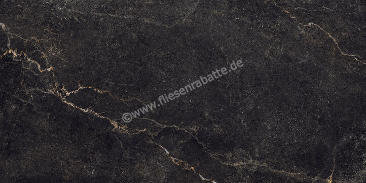  La Fabbrica Ava Noble Stone Dark 60x120 cm Bodenfliese / Wandfliese Matt Eben Naturale 199004 | 642487