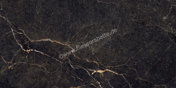  La Fabbrica Ava Noble Stone Dark 30x60 cm Bodenfliese / Wandfliese Matt Eben Naturale 199064 | 642781