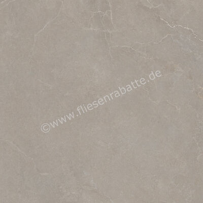  La Fabbrica Ava Noble Stone Taupe 100x100 cm Bodenfliese / Wandfliese Matt Eben Naturale 199075 | 642859