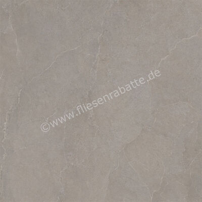  La Fabbrica Ava Noble Stone Taupe 120x120 cm Bodenfliese / Wandfliese Matt Eben Naturale 199095 | 642931
