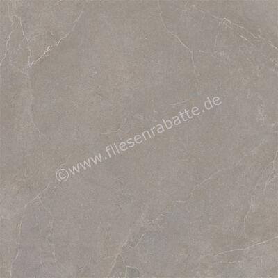 La Fabbrica Ava Noble Stone Taupe 120x120 cm Bodenfliese / Wandfliese Matt Eben Naturale 199095 | 642940