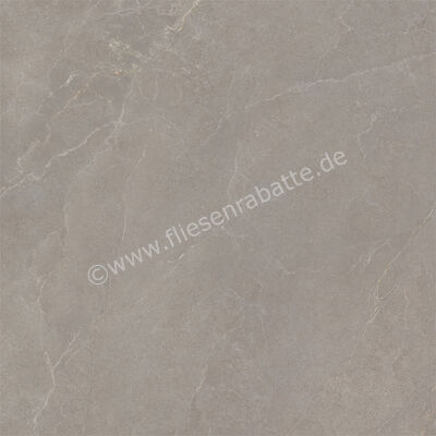  La Fabbrica Ava Noble Stone Taupe 120x120 cm Bodenfliese / Wandfliese Matt Eben Naturale 199095 | 642943