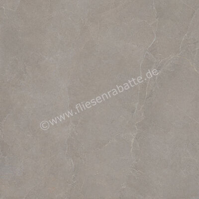  La Fabbrica Ava Noble Stone Taupe 120x120 cm Bodenfliese / Wandfliese Matt Eben Naturale 199185 | 643009