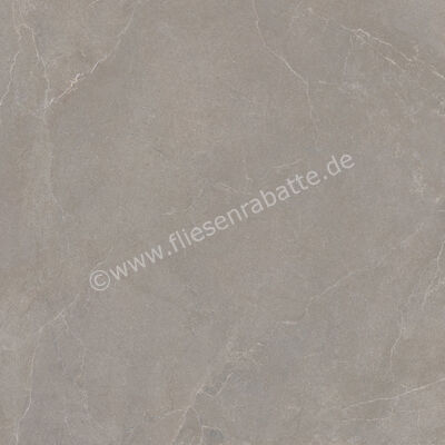  La Fabbrica Ava Noble Stone Taupe 120x120 cm Bodenfliese / Wandfliese Matt Eben Naturale 199185 | 643015