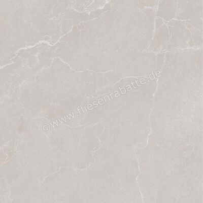  La Fabbrica Ava Noble Stone Grey 60x60 cm Bodenfliese / Wandfliese Matt Eben Naturale 199052 P | 643147