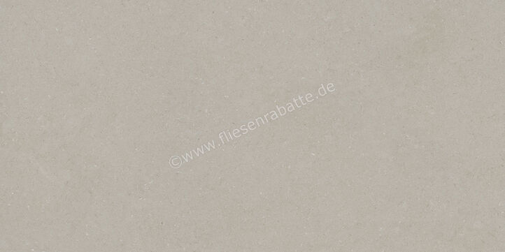  La Fabbrica Ava Moon Cream Grigio 60x120 cm Bodenfliese / Wandfliese Matt Eben Naturale 284003 | 643552