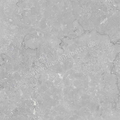  Coem Lagos Light Grey 120x120 cm Bodenfliese / Wandfliese Matt Strukturiert Naturale OS1239R | 649333