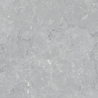  Coem Lagos Light Grey 60x60 cm Bodenfliese / Wandfliese Matt Strukturiert Naturale OS603R | 649387