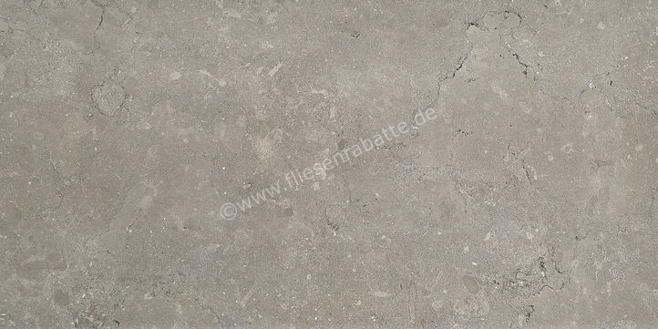  Coem Lagos Light Grey 60x120 cm Bodenfliese / Wandfliese Glänzend Strukturiert Lucidato OS623LR | 649399