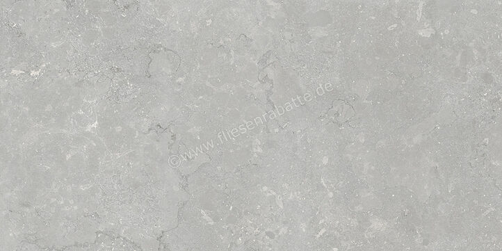  Coem Lagos Light Grey 60x120 cm Bodenfliese / Wandfliese Matt Strukturiert Naturale OS623R | 649402