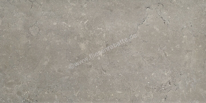  Coem Lagos Light Grey 45x90 cm Bodenfliese / Wandfliese Matt Strukturiert Naturale OS493R | 649423