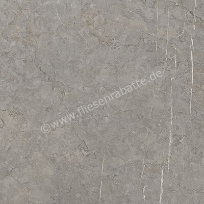  Coem Sense Taupe 60.4x60.4 cm Bodenfliese / Wandfliese Matt Strukturiert Naturale GE608R | 651200