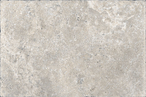  Coem Aquitaine Outdoor Silver 60.4x90.6x2 cm Terrassenplatte Matt Strukturiert Naturale 2AQ96ER | 651791