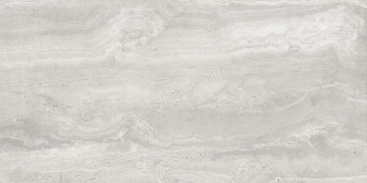  Coem Reverso2 Silver 45x90 cm Bodenfliese / Wandfliese Matt Eben Naturale RV496R | 654284